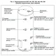 Бойлер косвенного нагрева BAXI UBC 250 напольный, одиночный змеевик, с боковым подключением