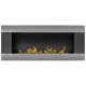Биокамин Firelight BFP/W-120 Silver