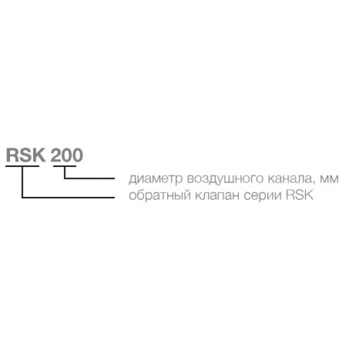 RSK 160 обратный клапан